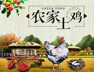 农家土鸡图片