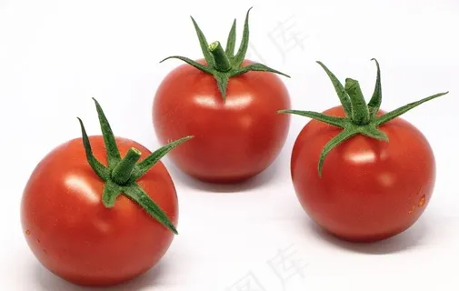 西红柿 番茄图片