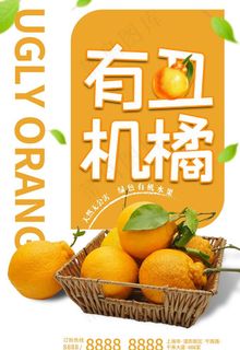 有机丑橘丑橘黄色调简约风格海报图片