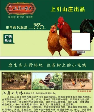 土鸡销售卡图片