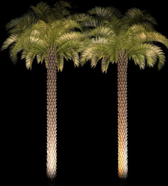 夜景树图片psd模版下载