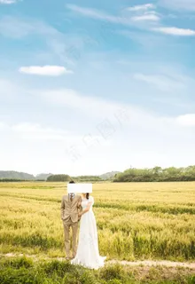 婚纱照 天空素材 天空设计 矢图片