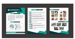 企业简介文化墙图片