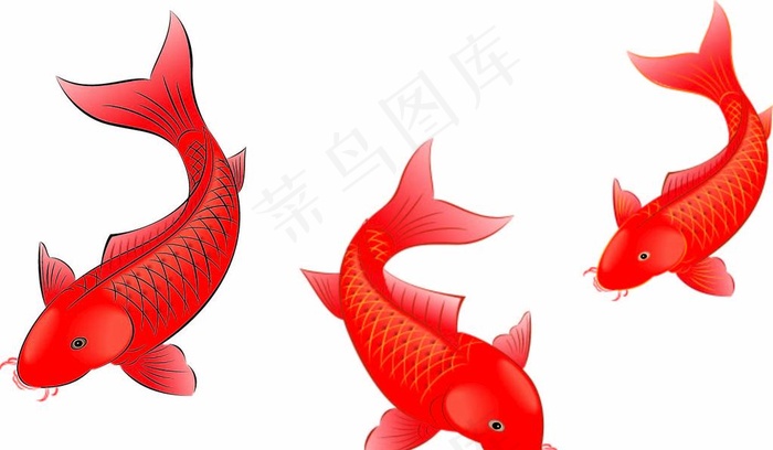 矢量金鱼素材图片ai矢量模版下载