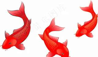 矢量金鱼素材图片