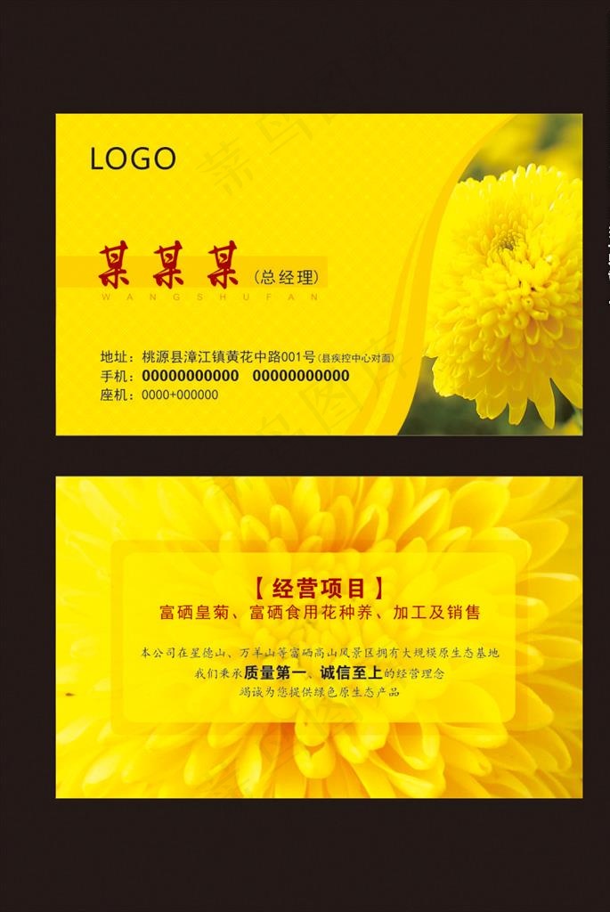黄色时尚皇菊菊花名片图片(90X55)cdr矢量模版下载