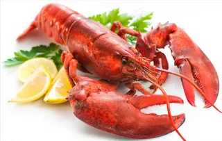 大龙虾图片