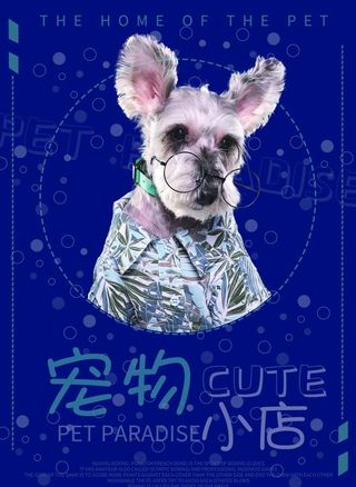 宠物小店宣传页图片