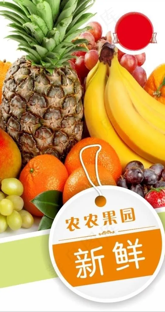 水果店挂图图片cdr矢量模版下载