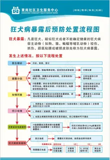 狂犬病防控流程宣传展板图片