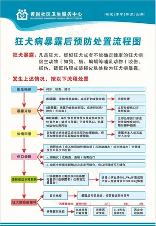 狂犬病防控流程宣传展板图片