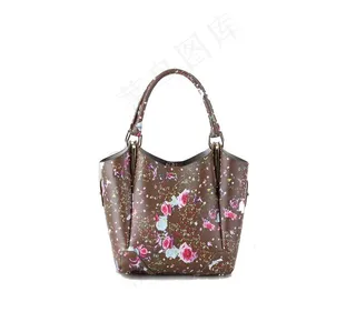 单肩菜鸟图库片