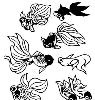 金鱼白描线稿图片