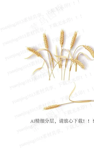 金色麦穗矢量图图片