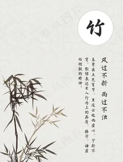 梅兰竹菊图片 梅兰竹菊图片