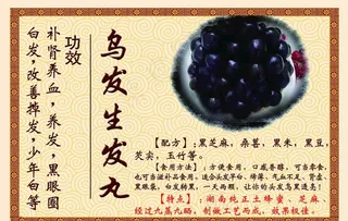 乌发生发丸图片