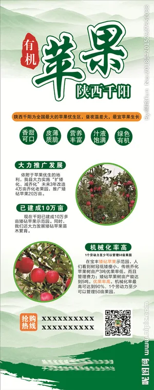 绿色有机苹果展架图片