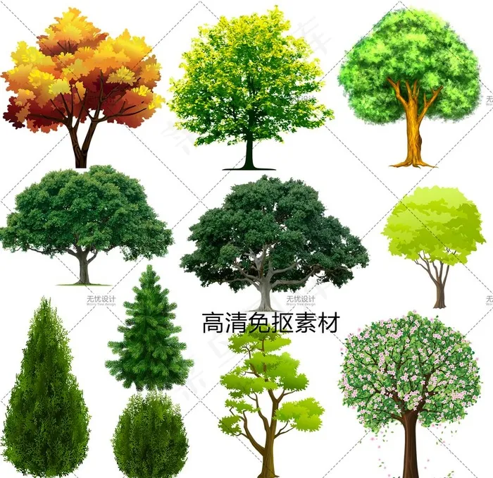 大树图片(2000X2000(DPI:100))psd模版下载