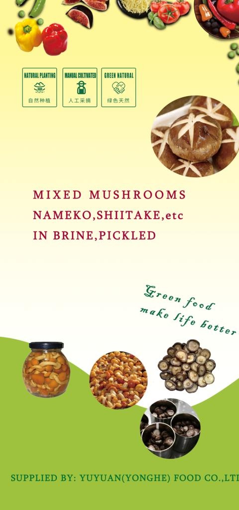 食品海报 香菇 海报设计图片