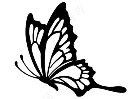 矢量蝴蝶图片