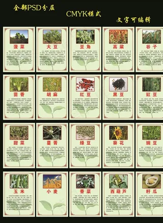 农作物简介图片