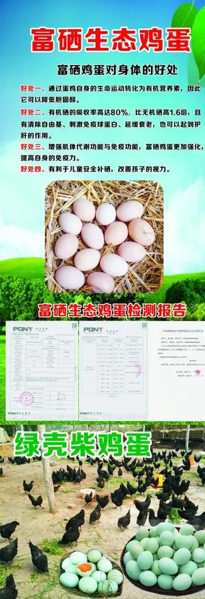 富硒生态鸡蛋图片