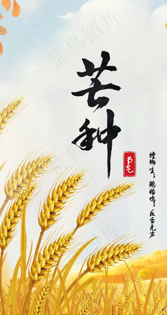 芒种海报图片(1080X1920(DPI:300))psd模版下载