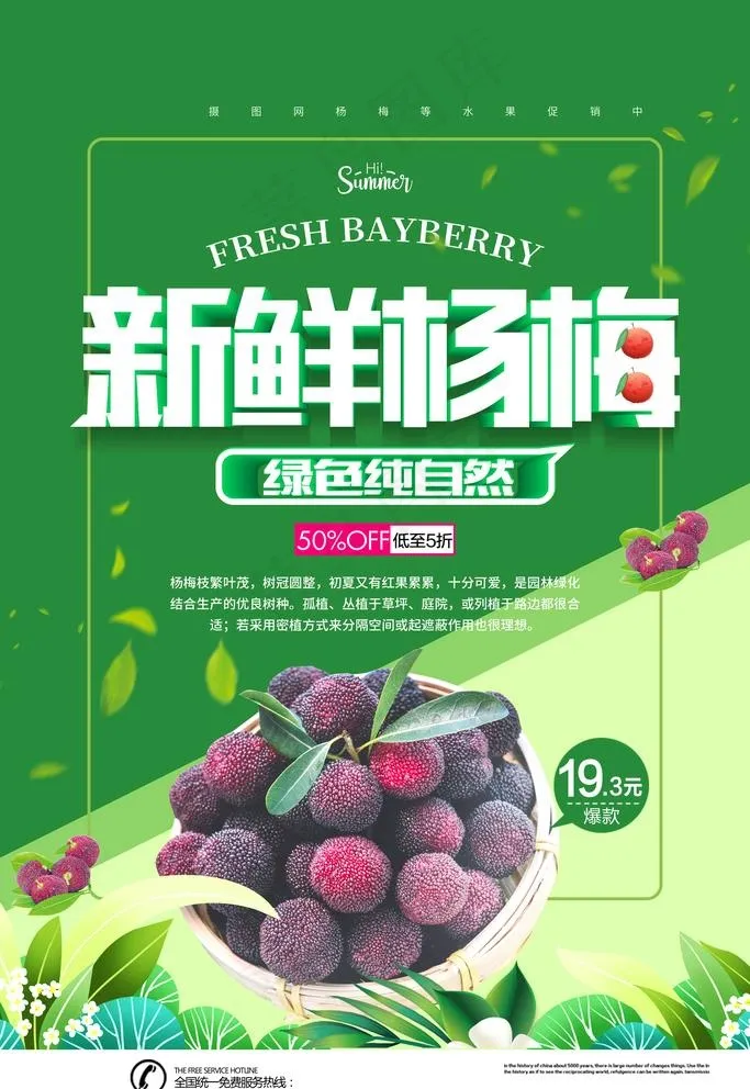 杨梅海报图片(3543X5315(DPI:150))psd模版下载
