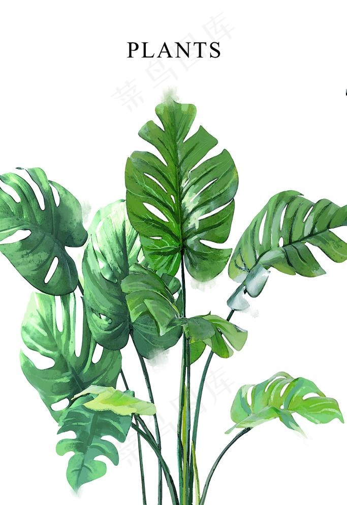 INS餐厅水彩植物现代简约手绘图片