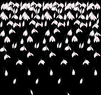 大牌 方巾 丝巾 数码印花图片