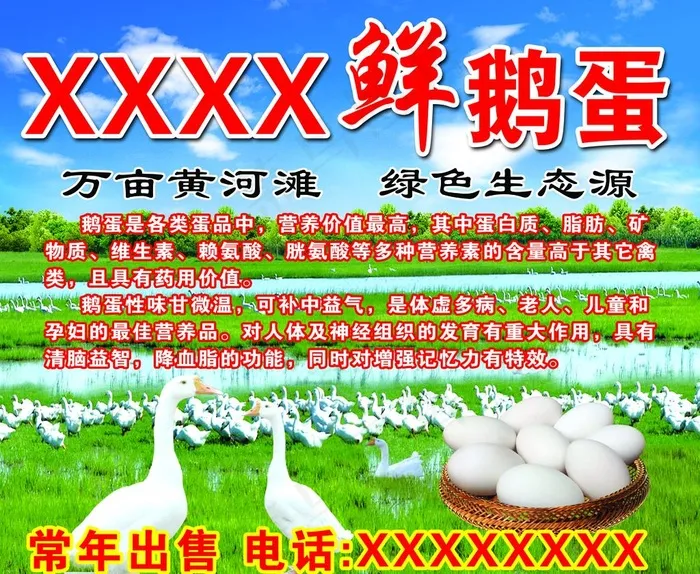 鲜鹅蛋图片(4724X4016(DPI:100))psd模版下载