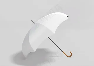 伞样机图片