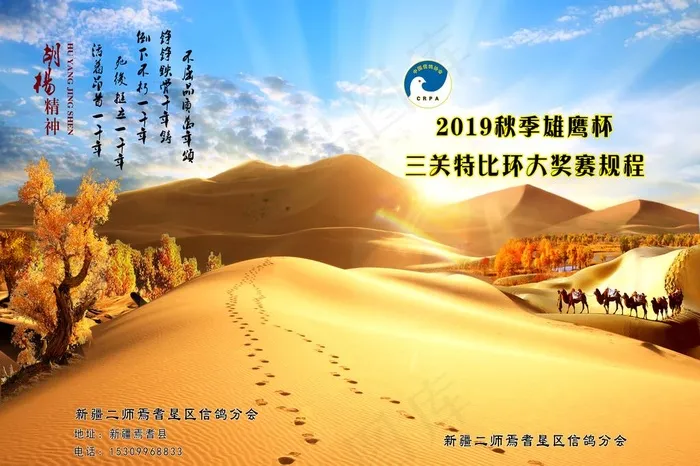 胡杨封皮图片(5031X3508(DPI:300))psd模版下载