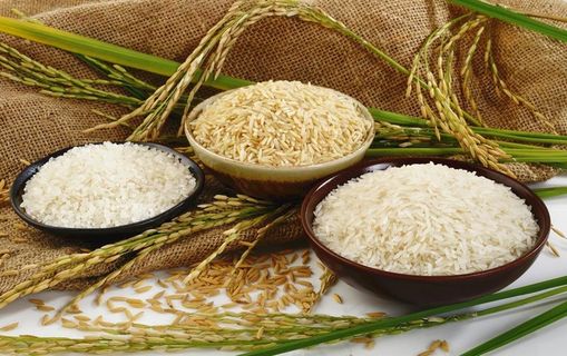 大米图片
