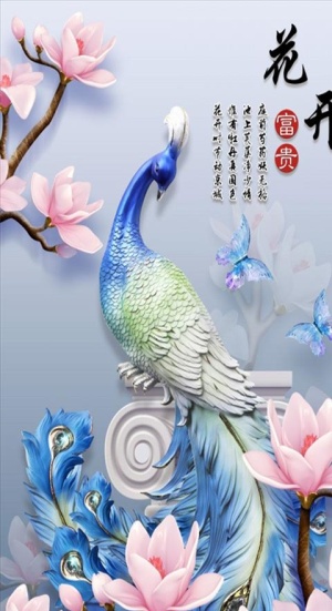 孔雀 花开富贵 玄关图图片
