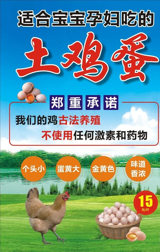 天然土鸡蛋海报图片cdr矢量模版下载
