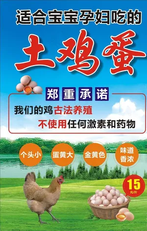 天然土鸡蛋海报图片