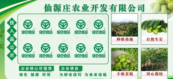 农业展板 橄榄图片