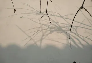 冬日的美好图片