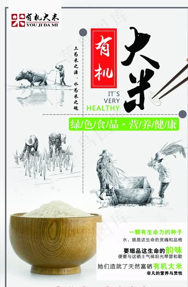 大米图片(7087X10630(DPI:300))psd模版下载