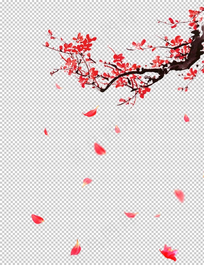 飘落的花瓣图片