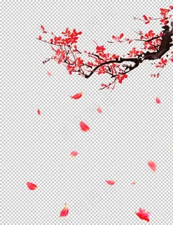 飘落的花瓣图片