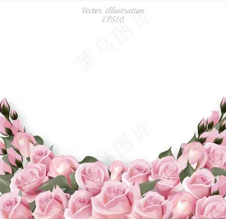 浪漫粉色玫瑰花背景图片