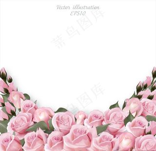 浪漫粉色玫瑰花背景图片