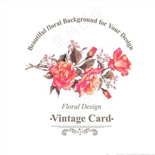 水彩玫瑰花图片