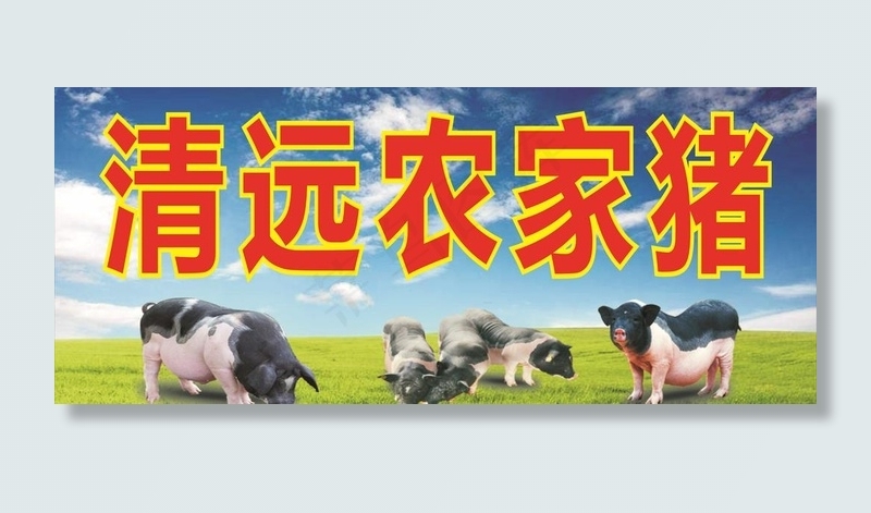 农家土猪图片cdr矢量模版下载