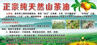 正宗山茶油图片