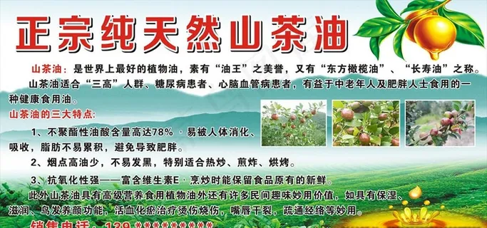 正宗山茶油图片 正宗山茶油图片