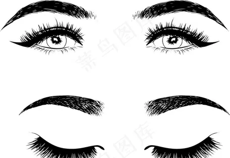 女性眉毛睫毛矢量图图片