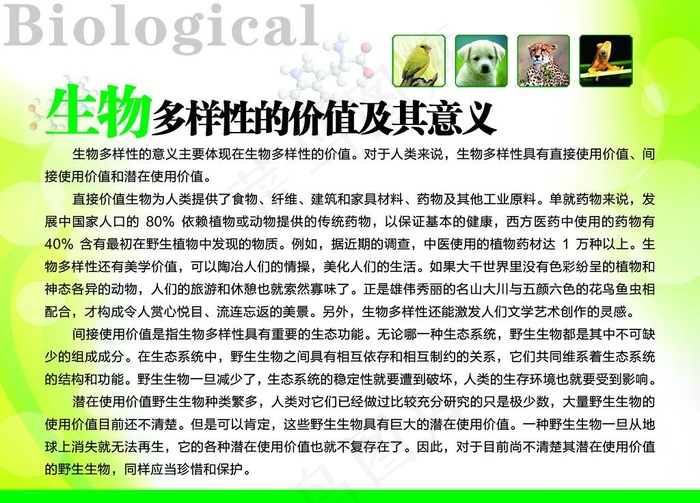 生物多样性价值及意义图片psd模版下载